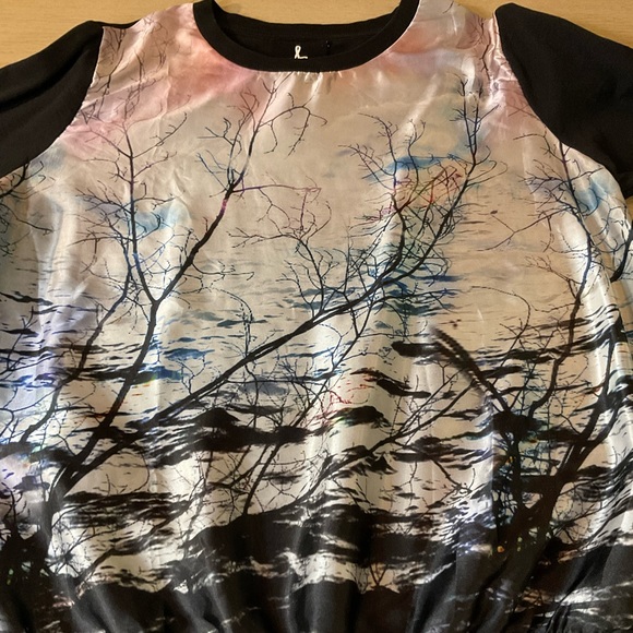Silk Front Graphic Sweatshirt - Picture 4 of 4